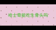 哈士奇能吃生骨头吗