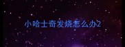 小哈士奇发烧怎么办