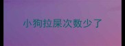 小狗拉屎次数少了