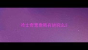 哈士奇鸳鸯眼有讲究么