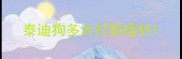 泰迪狗多大打防疫针