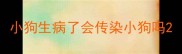 小狗生病了会传染小狗吗