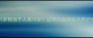 哈士奇1岁相当于人类15岁过来人血泪幼犬养护全攻略