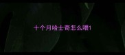 十个月哈士奇怎么喂