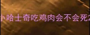 小哈士奇吃鸡肉会不会死