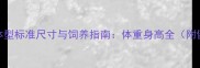 拉布拉多成犬体型标准尺寸与饲养指南体重身高全附健康管理方案
