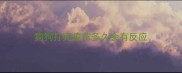 狗狗打完疫苗多久会有反应