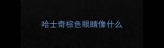哈士奇棕色眼睛像什么