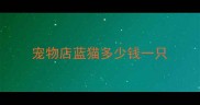 宠物店蓝猫多少钱一只