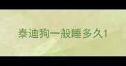 泰迪狗一般睡多久