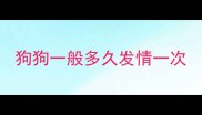 狗狗一般多久发情一次