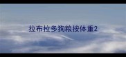 拉布拉多狗粮按体重
