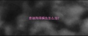 泰迪狗得螨虫怎么治