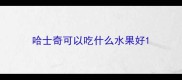 哈士奇可以吃什么水果好