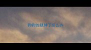 狗狗的腿肿了怎么办