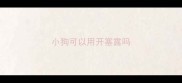 小狗可以用开塞露吗
