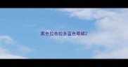 黑色拉布拉多蓝色眼睛