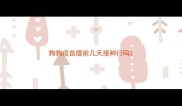 狗狗疫苗提前几天接种行吗