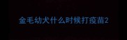 金毛幼犬什么时候打疫苗