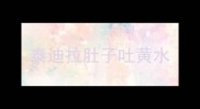 泰迪拉肚子吐黄水