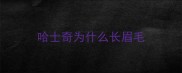 哈士奇为什么长眉毛