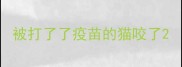 被打了了疫苗的猫咬了