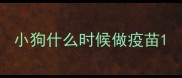 小狗什么时候做疫苗