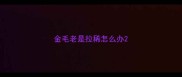 金毛老是拉稀怎么办