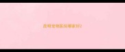 昆明宠物医院哪家好