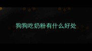 狗狗吃奶粉有什么好处