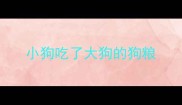 小狗吃了大狗的狗粮
