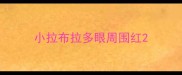 小拉布拉多眼周围红