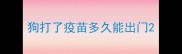 狗打了疫苗多久能出门