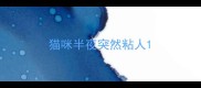 猫咪半夜突然粘人