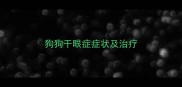 狗狗干眼症症状及治疗