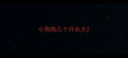 小狗狗几个月长大