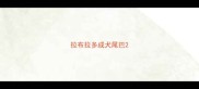 拉布拉多成犬尾巴