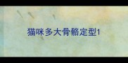 猫咪多大骨骼定型