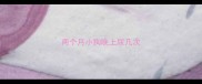 两个月小狗晚上尿几次