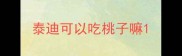 泰迪可以吃桃子嘛