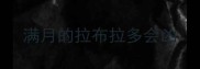满月的拉布拉多会凶