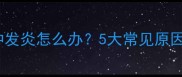 拉布拉多鼻子红肿发炎怎么办5大常见原因及科学护理指南