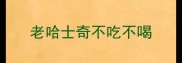 老哈士奇不吃不喝