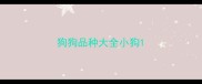 狗狗品种大全小狗