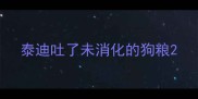 泰迪吐了未消化的狗粮