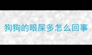 狗狗的眼屎多怎么回事