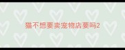 猫不想要卖宠物店要吗