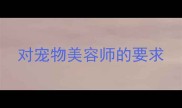 对宠物美容师的要求