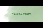 边牧总有鼻涕是要感冒吗