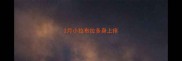 2月小拉布拉多身上痒